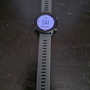 Garmin Gray Smartwatch with Black Bezel Forerunner 245